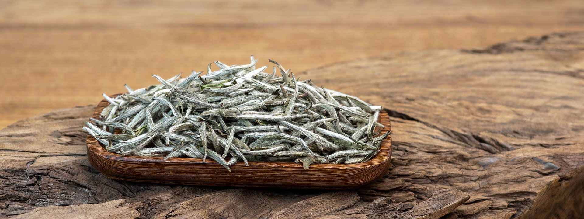 Silver Needle White